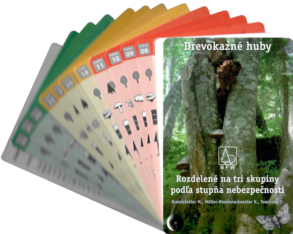 Drevokazné huby – poznávacia pomôcka - Image 2